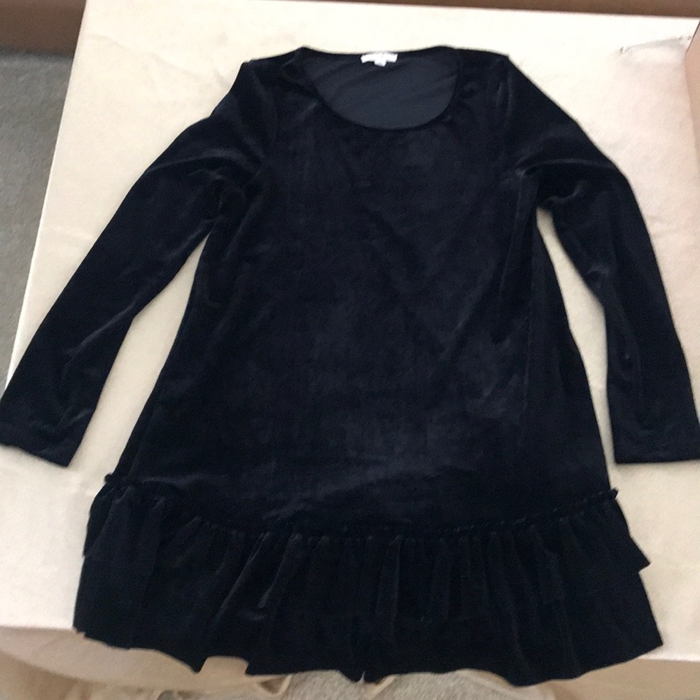 NWOT Velvet ruffled swing dress